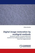 Digital image restoration by multigrid methods