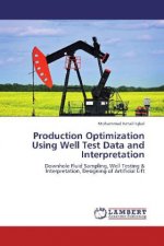 Production Optimization Using Well Test Data and Interpretation