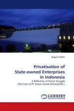 Privatisation of State-owned Enterprises in Indonesia