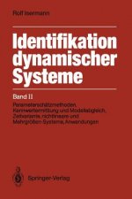 Identifikation Dynamischer Systeme