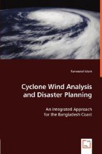 Cyclone Wind Analysis and Disaster Planning