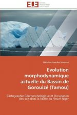 Evolution Morphodynamique Actuelle Du Bassin de Gorouiz  (Tamou)