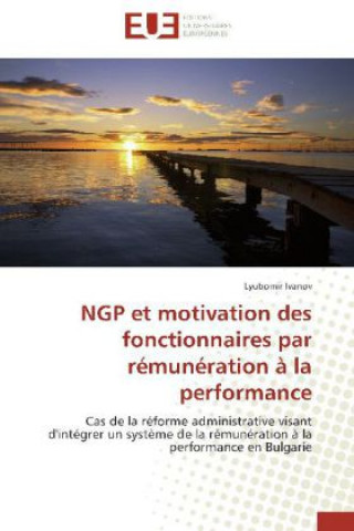 NGP et motivation des fonctionnaires par rémunération à la performance