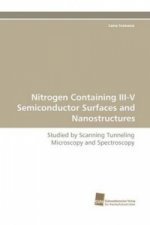 Nitrogen Containing III-V Semiconductor Surfaces and Nanostructures