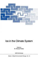 Ice in the Climate System