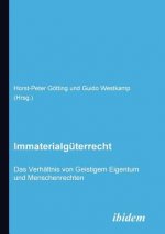 Immaterialg terrecht. Das Verh ltnis von Geistigem Eigentum und Menschenrechten.