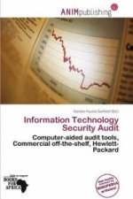 Information Technology Security Audit