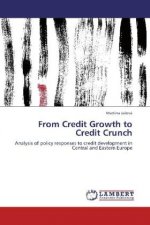 From Credit Growth to Credit Crunch