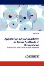 Application of Nanoparticles as Tissue Scaffolds in Biomedicine