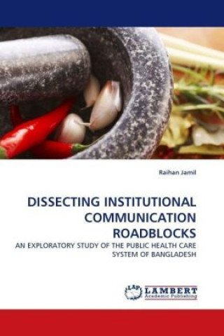 DISSECTING INSTITUTIONAL COMMUNICATION ROADBLOCKS