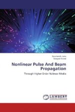 Nonlinear Pulse And Beam Propagation