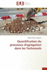 Quantification du processus d'agrégation dans les Technosols