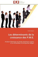 Les D terminants de la Croissance Des P.M.E.