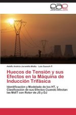 Huecos de Tension y sus Efectos en la Maquina de Induccion Trifasica