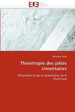 Thixotropie Des P tes Cimentaires