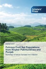 Fulvous Fruit Bat Populations from Khyber Pakhtunkhwa and Punjab