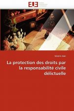 La protection des droits par la responsabilite civile delictuelle