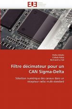 Filtre D cimateur Pour Un Can Sigma-Delta