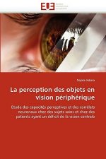 La Perception Des Objets En Vision P riph rique