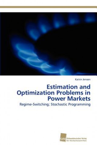 Estimation and Optimization Problems in Power Markets