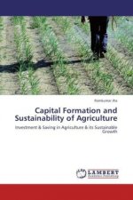 Capital Formation and Sustainability of Agriculture