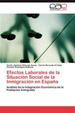 Efectos Laborales de la Situacion Social de la Inmigracion en Espana