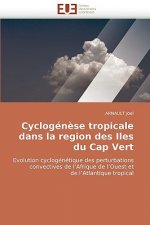 Cyclogenese Tropicale Dans La Region Des Iles Du Cap Vert