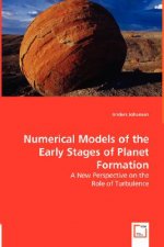 Numerical Models of the Early Stages of Planet Formation - A New Perspective on the Role of Turbulence