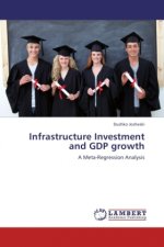 Infrastructure Investment and GDP growth