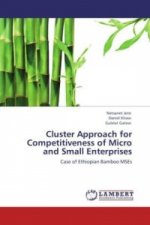 Cluster Approach for Competitiveness of Micro and Small Enterprises