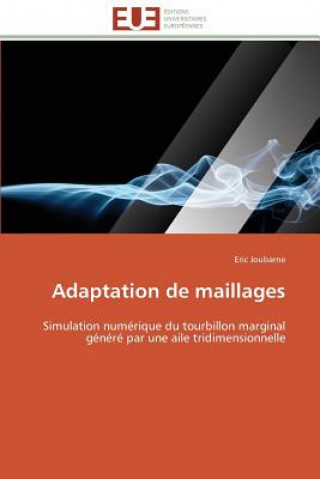 Adaptation de Maillages