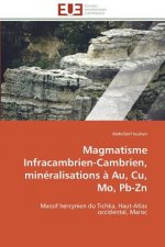 Magmatisme Infracambrien-Cambrien, Min ralisations   Au, Cu, Mo, Pb-Zn