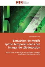 Extraction de motifs spatio-temporels dans des images de teledetection