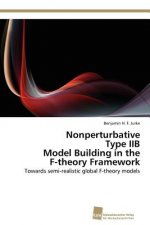 Nonperturbative Type IIB Model Building in the F-theory Framework
