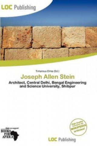Joseph Allen Stein