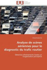 Analyse de Sc nes A riennes Pour Le Diagnostic Du Trafic Routier