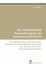 Der laserinduzierte Phasenübergang von Samariumsulfid (SmS)