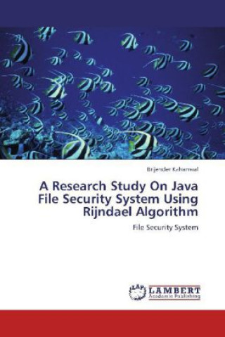 A Research Study On Java File Security System Using Rijndael Algorithm