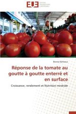 Reponse de la tomate au goutte a goutte enterre et en surface