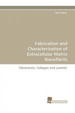 Fabrication and Characterization of Extracellular Matrix Nanofibrils