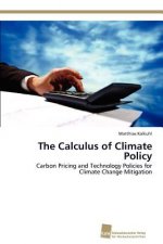 Calculus of Climate Policy