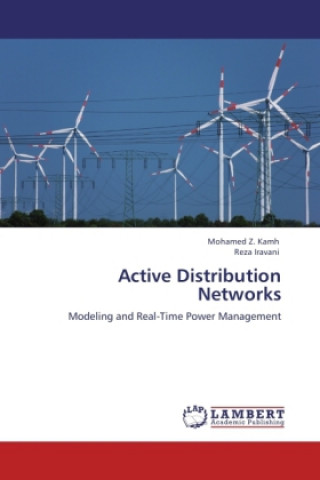 Active Distribution Networks