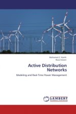 Active Distribution Networks