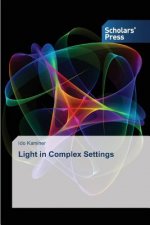 Light in Complex Settings