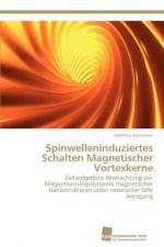Spinwelleninduziertes Schalten Magnetischer Vortexkerne