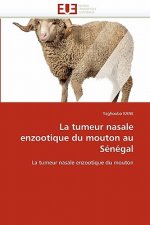 tumeur nasale enzootique du mouton au senegal