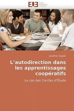 L autodirection dans les apprentissages cooperatifs