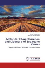 Molecular Characterization and Diagnosis of Sugarcane Viruses
