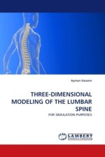 THREE-DIMENSIONAL MODELING OF THE LUMBAR SPINE