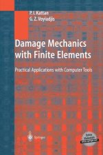 Damage Mechanics with Finite Elements